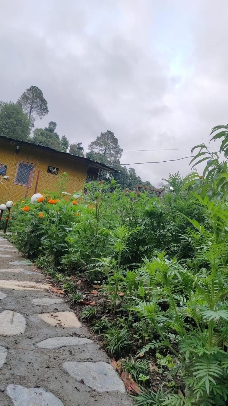 Krishna Kutir, Talla Ramgarh By The Meditating Society Εξωτερικό φωτογραφία